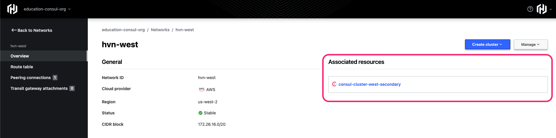 HVN displaying an associated Consul cluster